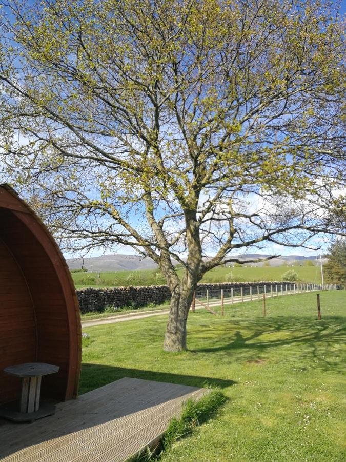 Sunny Mount Glamping Pod *