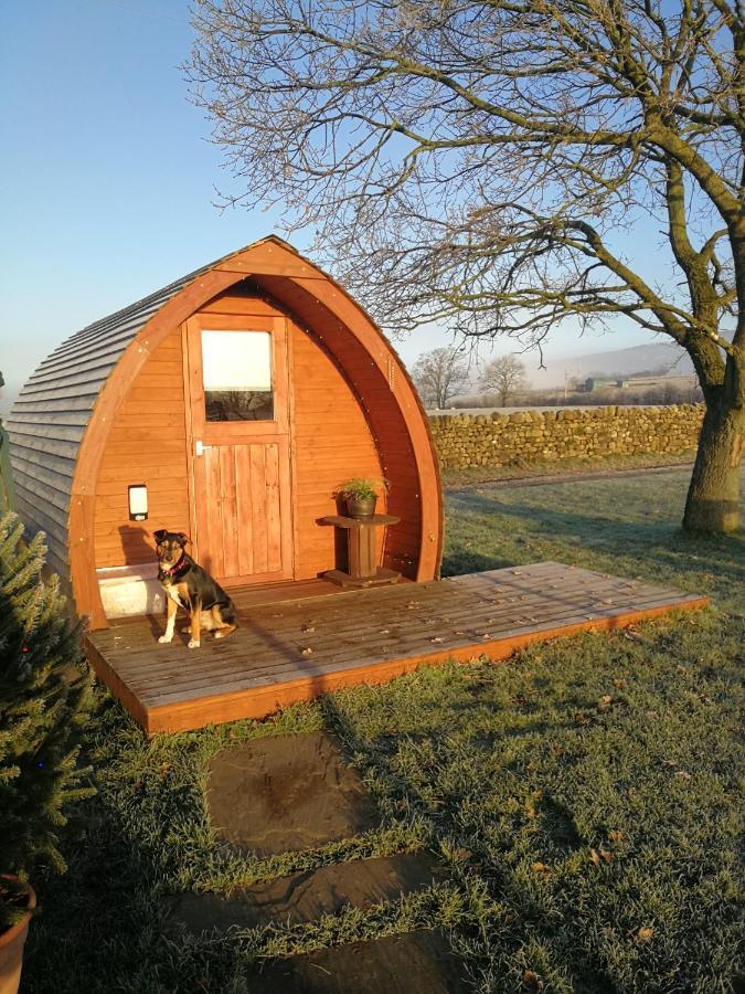 Sunny Mount Glamping Pod Camping *